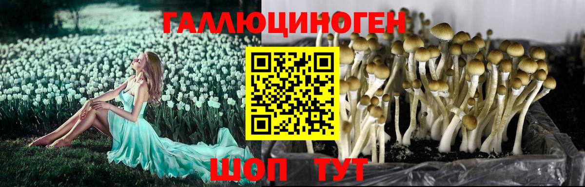 Псилоцибиновые грибы прущие грибы Воронеж
