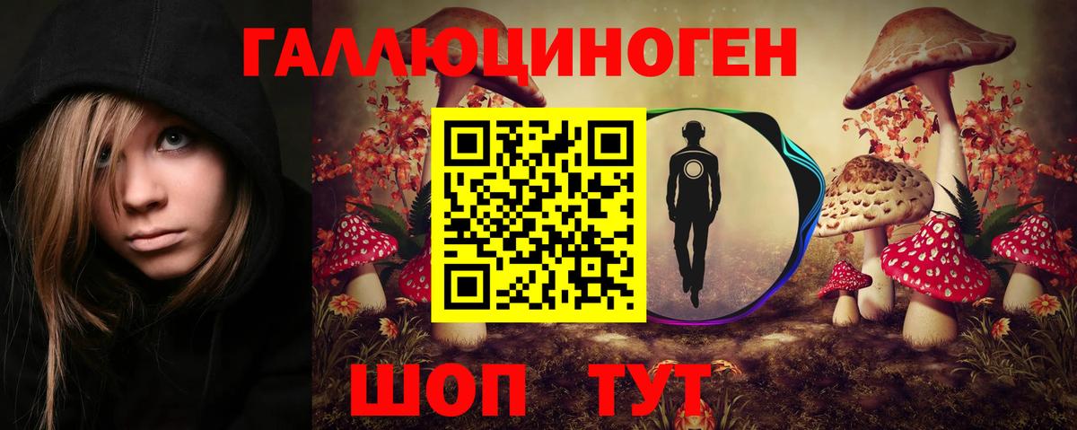 Галлюциногенные грибы Psilocybine cubensis Воронеж