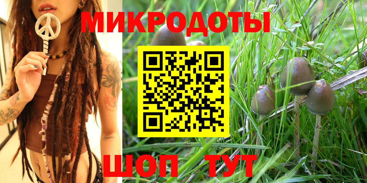 Галлюциногенные грибы Psilocybine cubensis  Галлюциногенные грибы GOLDEN TEACHER  Воронеж  Вход с VPN 
