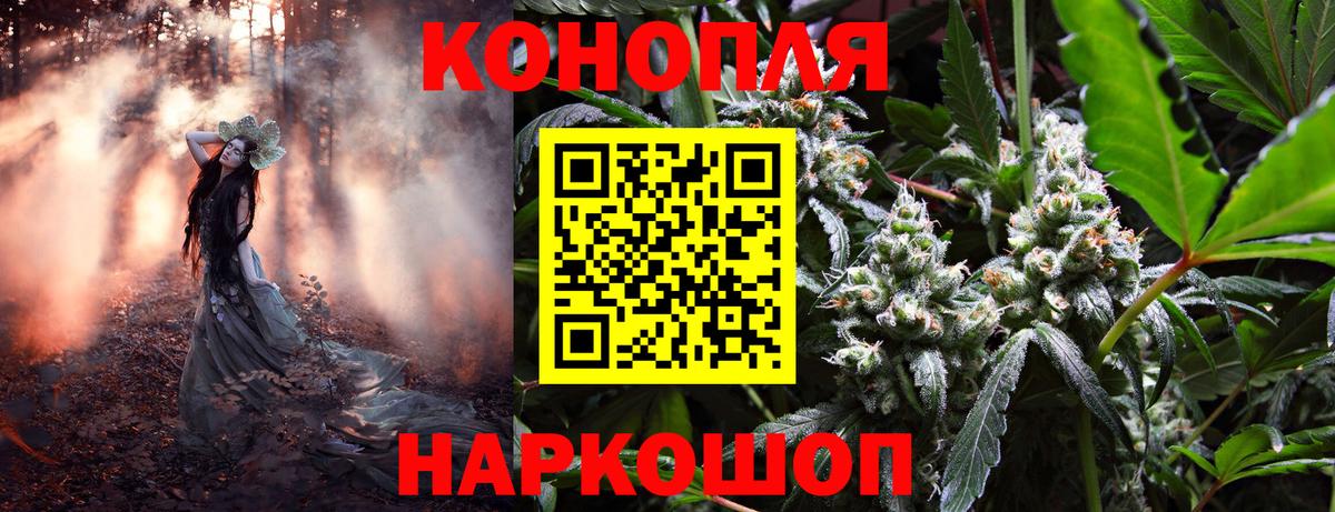 Шишки марихуана тримм  Каннабис White Widow  Вход с VPN  Конопля индика  Воронеж  Конопля марихуана 